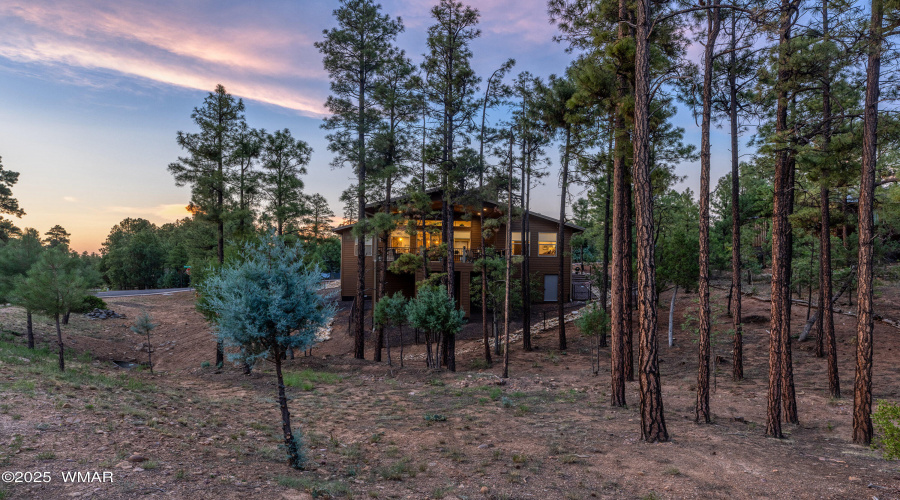 Back view from the large lot