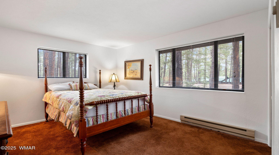 4CoRd2089-Alpine-AZ-24