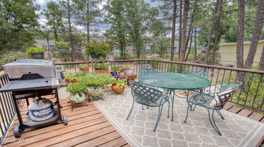 Back deck