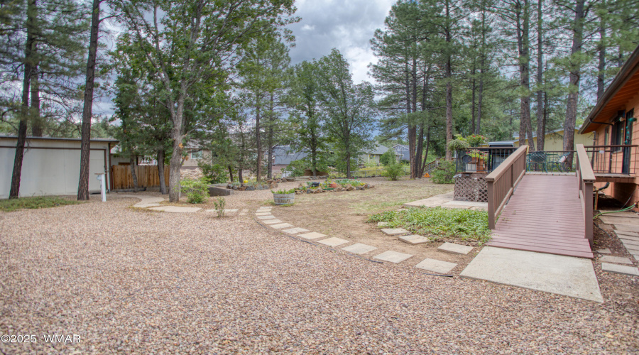 Back yard