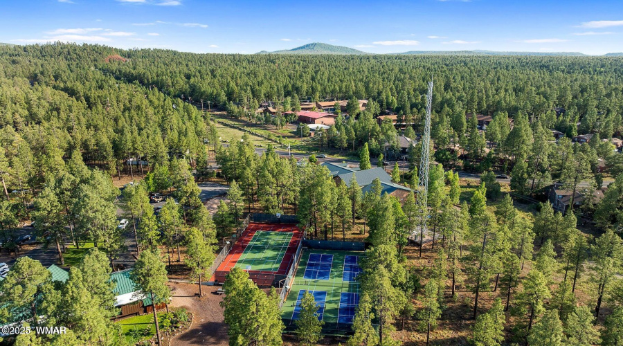Courts Aerial