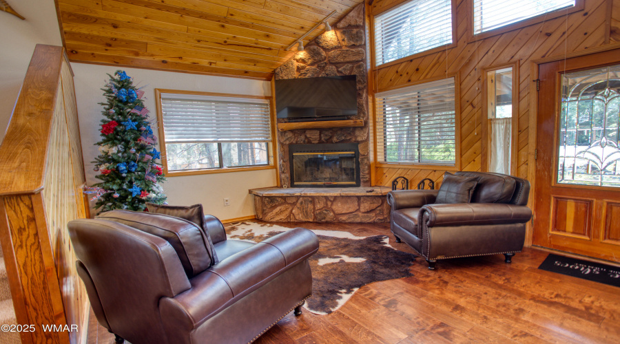Living Fireplace