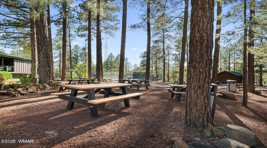 Picnic Tables