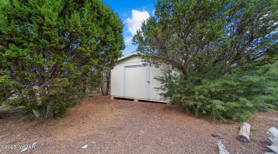 Shed