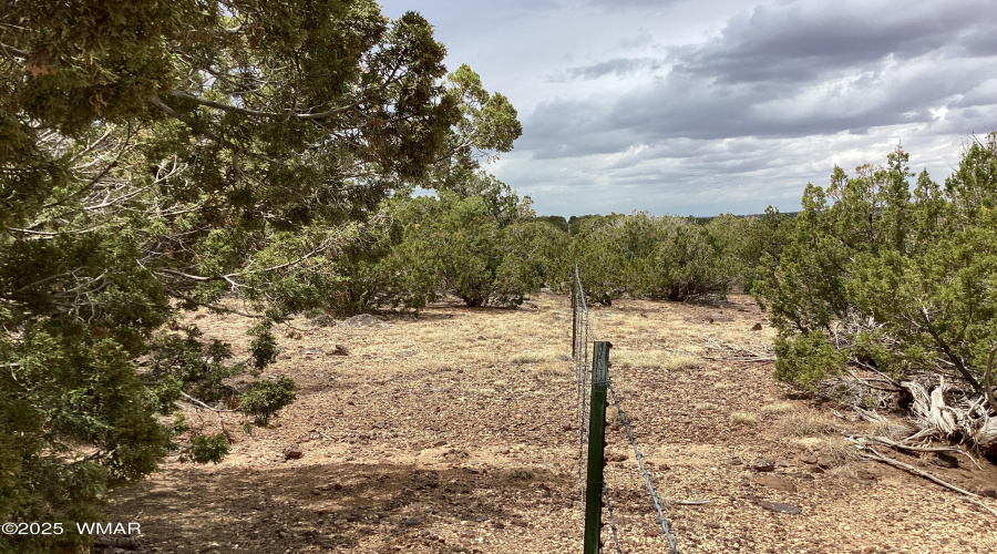 Rouged and sturdy fencing on 3 sides