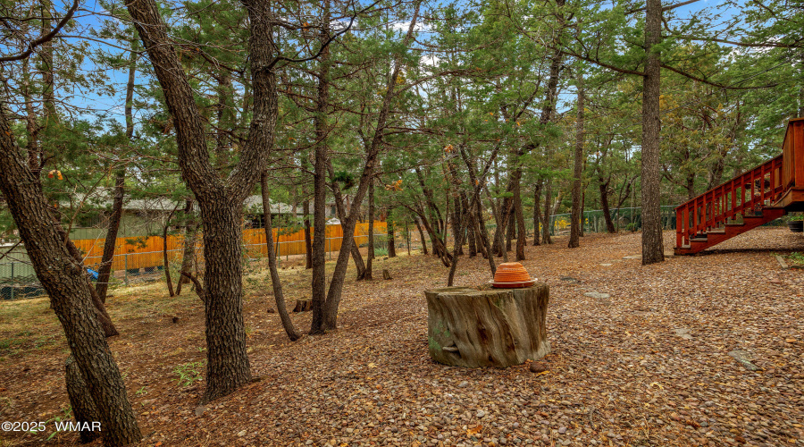 4977ApacheWay-Lakeside-AZ-Exteriors-3