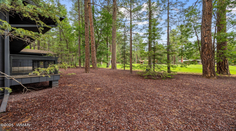 7161IndianBendRd-Pinetop-AZ-32