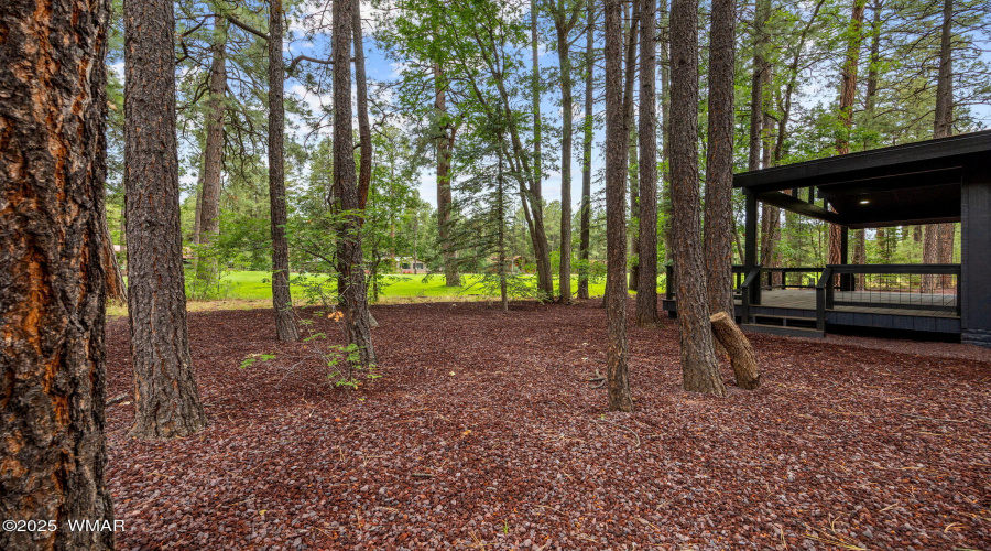 7161IndianBendRd-Pinetop-AZ-33