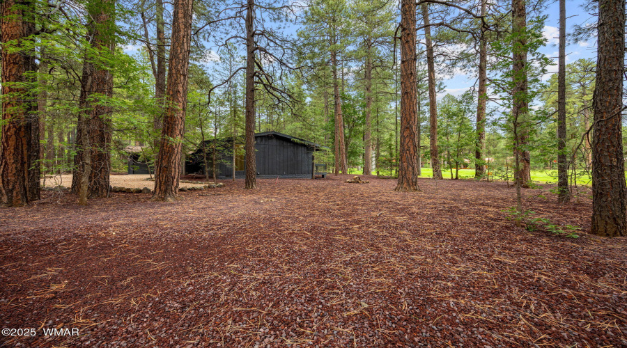7161IndianBendRd-Pinetop-AZ-37