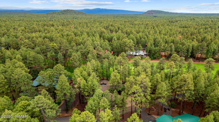 7161IndianBendRd-Pinetop-AZ-39