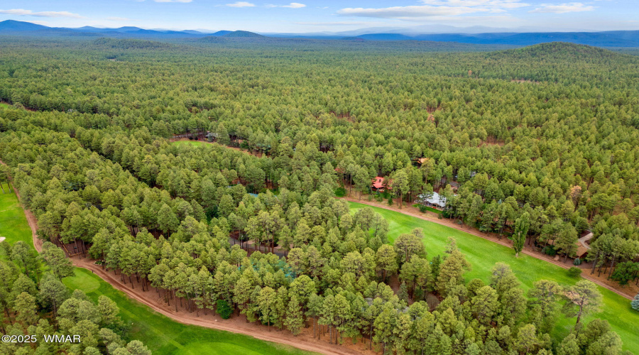 7161IndianBendRd-Pinetop-AZ-41