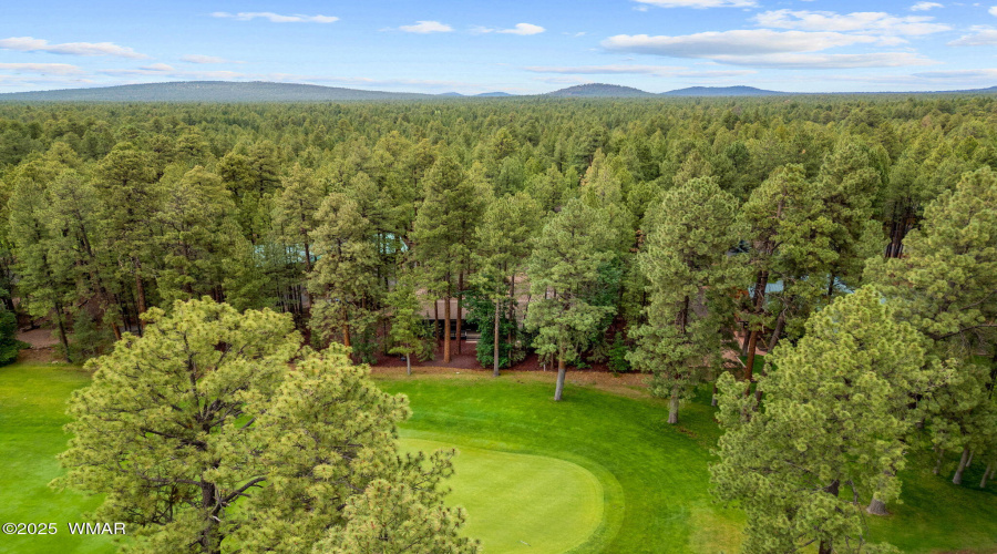 7161IndianBendRd-Pinetop-AZ-43