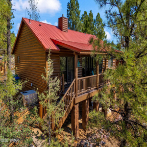 4741WBisonLn-ShowLow-AZ-27