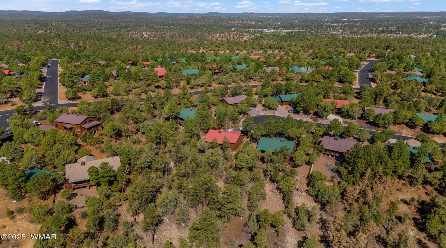 4741WBisonLn-ShowLow-AZ-31