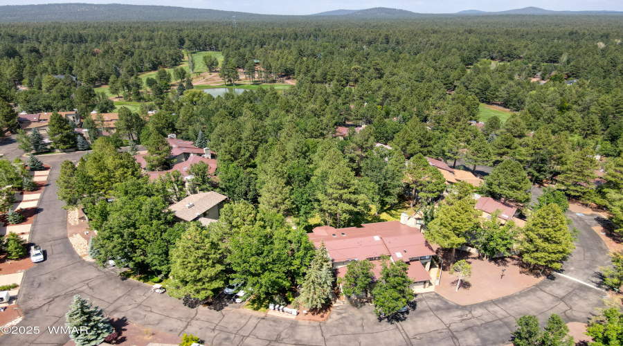 Paxmanphoto_DJI_0178