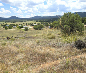 Prcl 3 Slopes to East