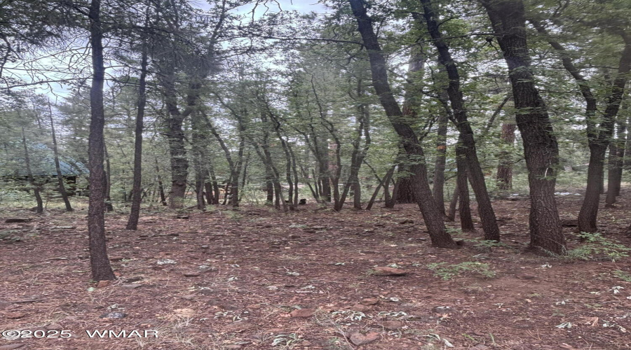 Mixed Trees