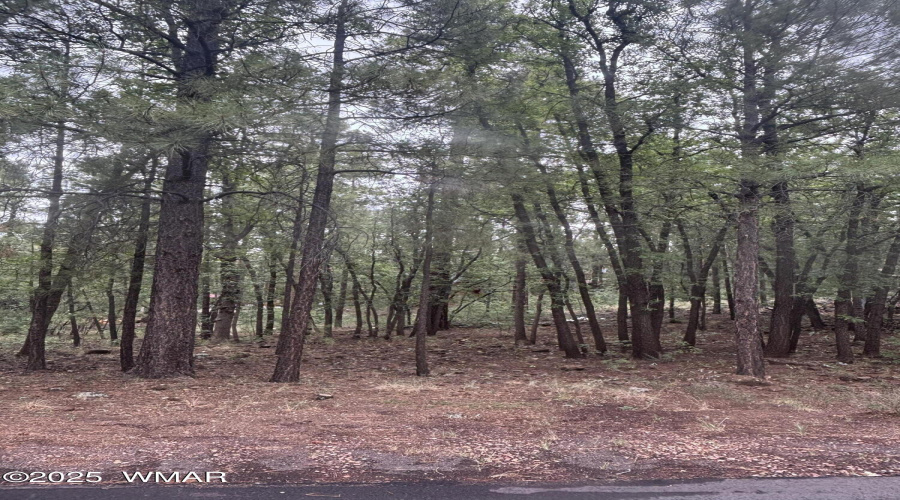 Road View