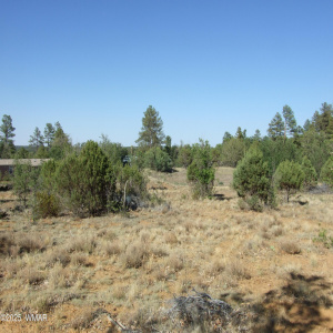 Pinedale Paradise