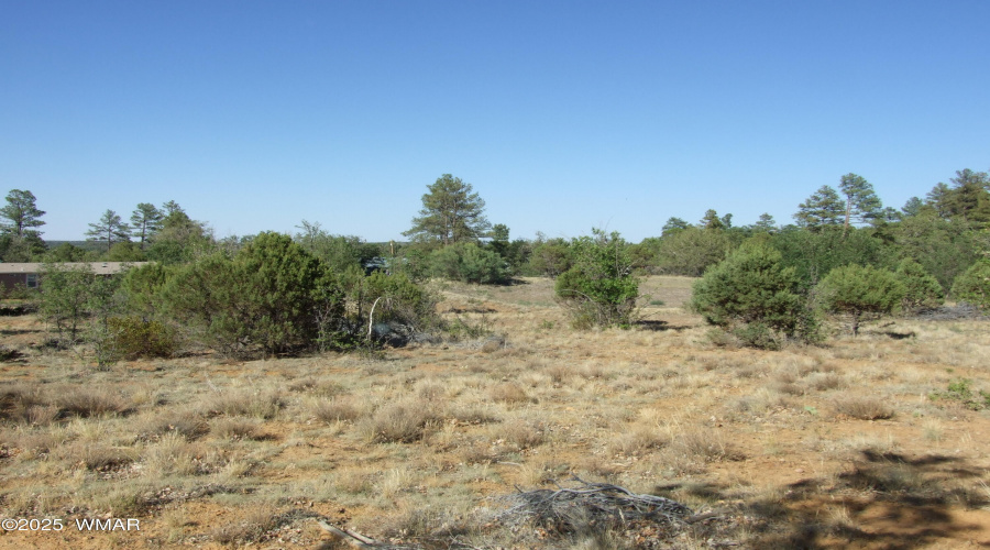 Pinedale Paradise
