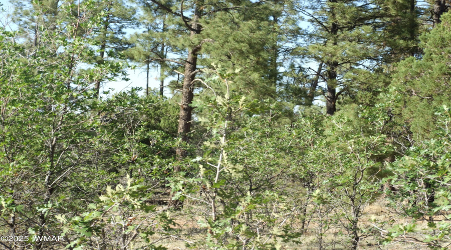 DSCF8901