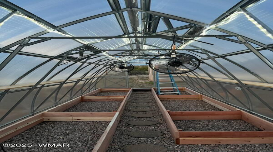 Another Interior View of the Greenhouse
