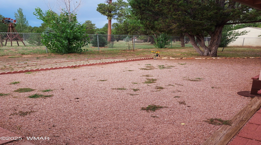 Fenced Yard