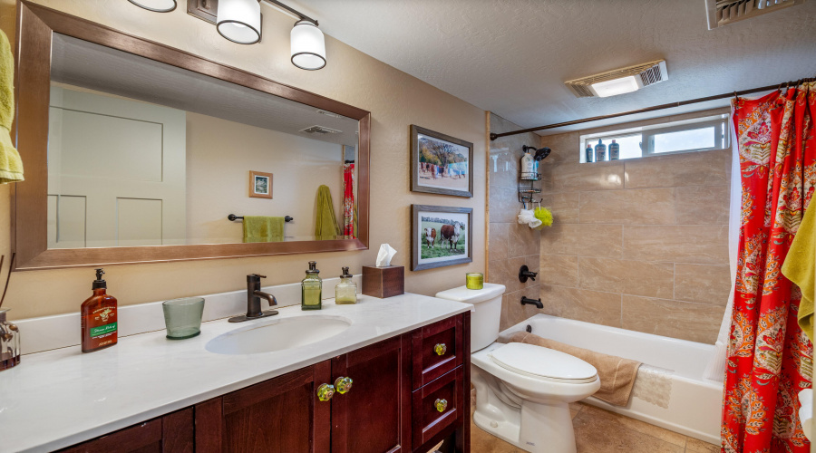 Guest Bath Main Floor