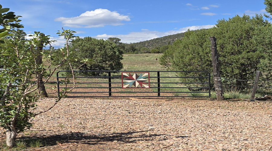 Gate New Aug 28