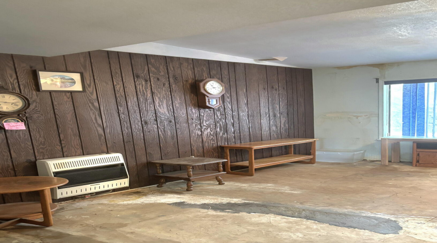 Living Rm Propane Heater