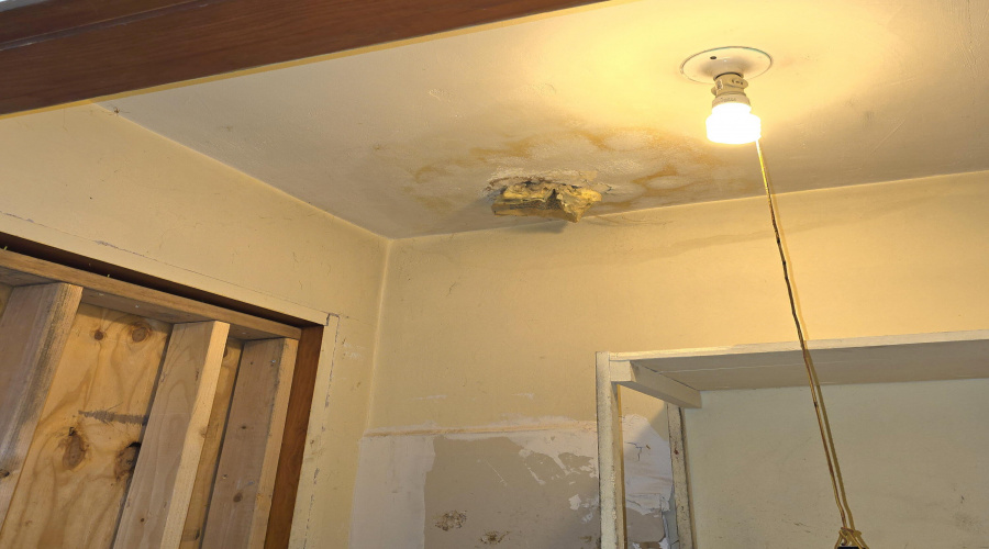 Ceiling Damage