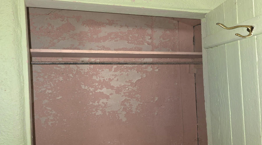 Closet with Peeling Paint