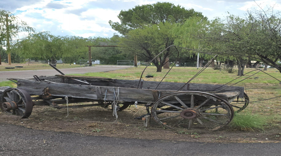 Wagon in Front Yard