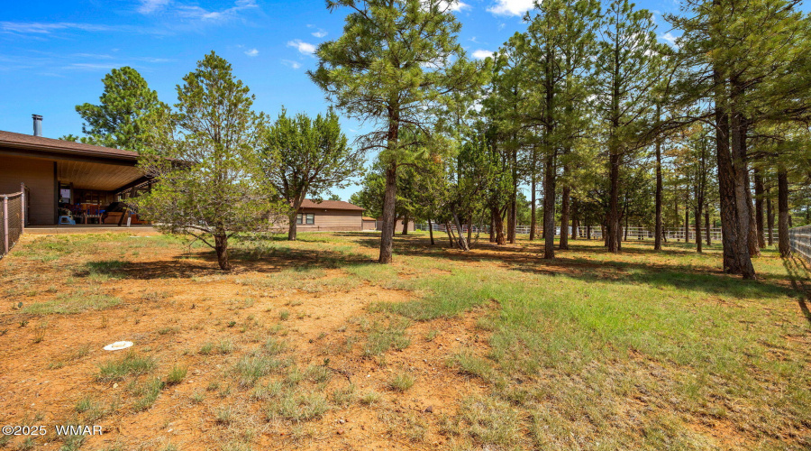 1955RicochetRanchRd-Pinedale-AZ-37