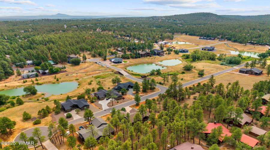Aerial View of Torreon Lakes