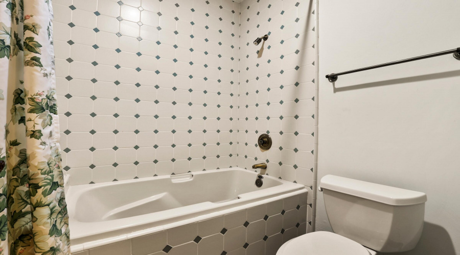 Guest Bathroom Downstairs (2)