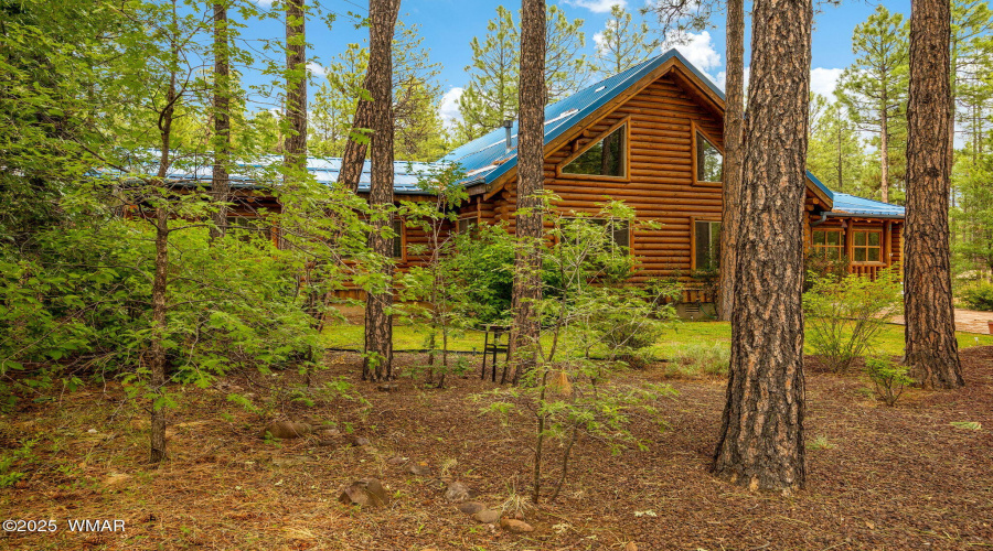 368RimRd-Pinetop-AZ-2