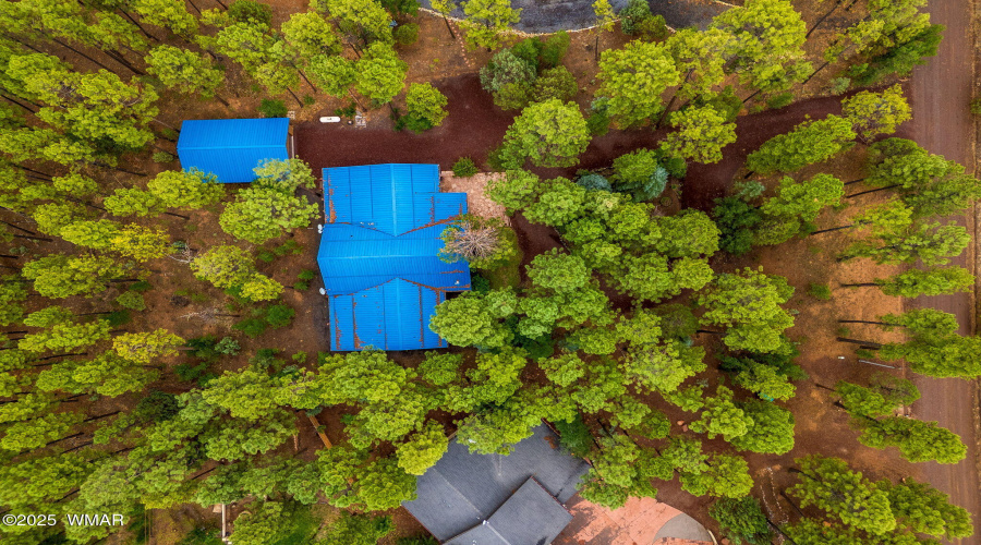 368RimRd-Pinetop-AZ-41