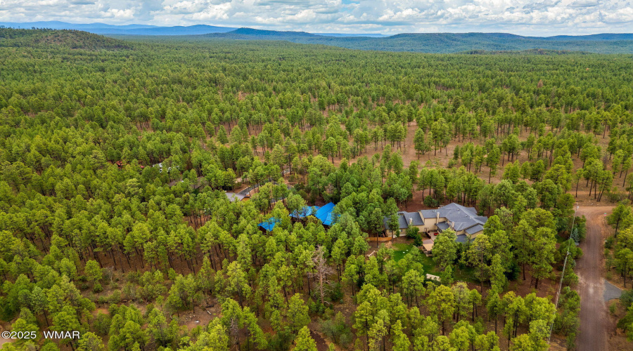 368RimRd-Pinetop-AZ-42