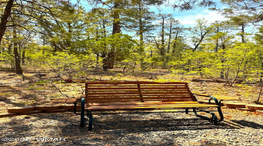 Backyard with Bench