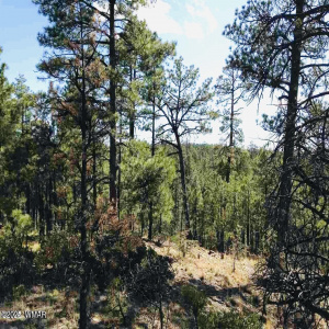 Sierra Pines View Lot