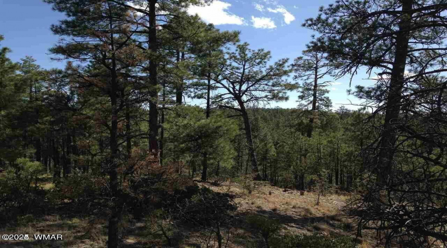 Sierra Pines Lot