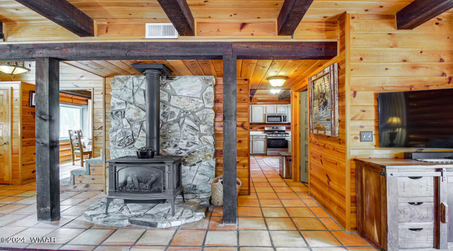 Gas burning stove