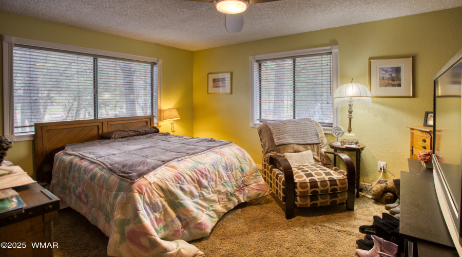 Paxmanphoto_PAX_9054