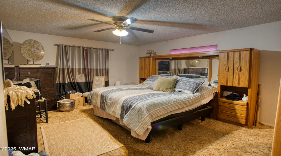 Paxmanphoto_PAX_9043