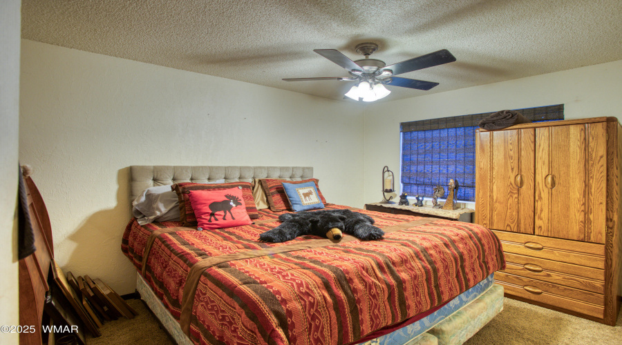 Paxmanphoto_PAX_9050