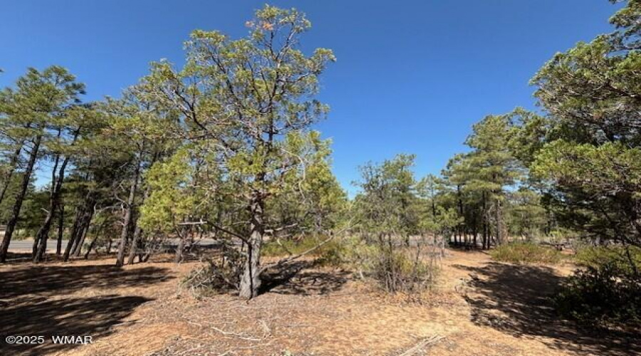 .96 acre Level Lot