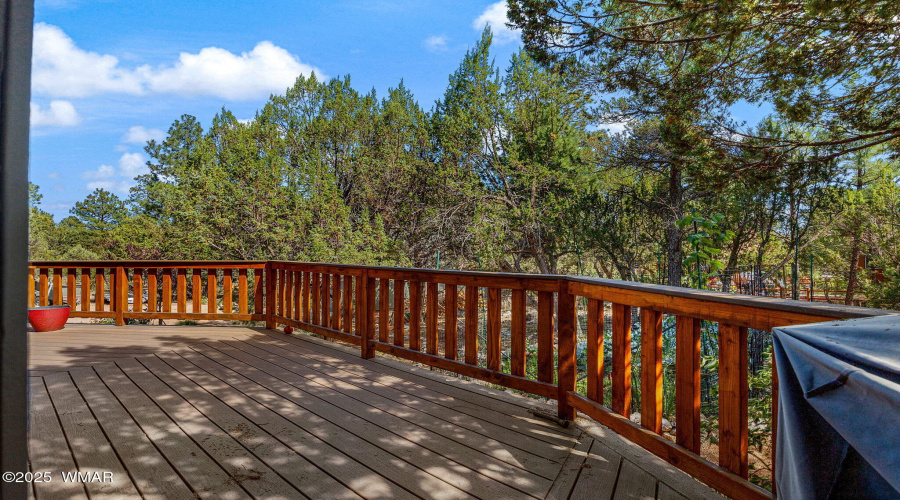 2231EagleLn-Overgaard-AZ-24