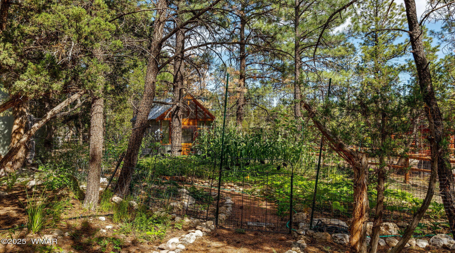 2231EagleLn-Overgaard-AZ-32