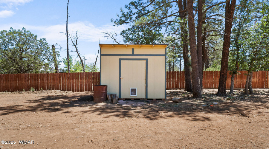 Storage Shed in Back Yard